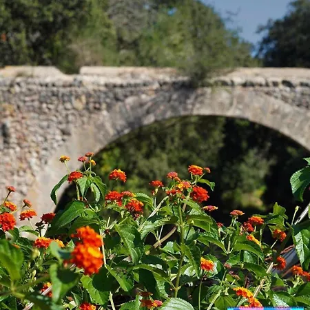 House Walking Distance To By Renthousing *