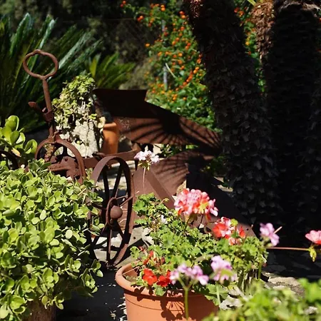 Tatil Evi House Walking Distance To By Renthousing *